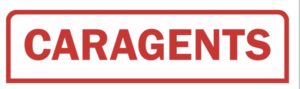 Caragents Logo Caragents Logo